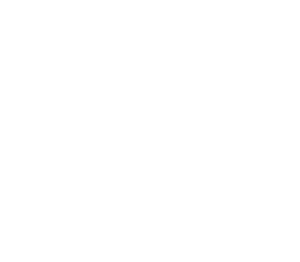 Tailored Ink white logo